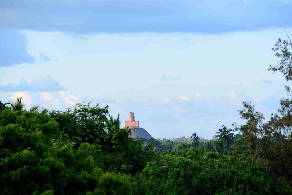 Sacred City Tourist Resort Anuradhapura Exterior foto
